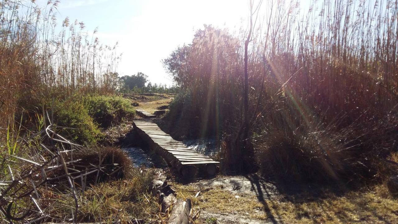Gerald'S Gift Guest House Addo Bagian luar foto
